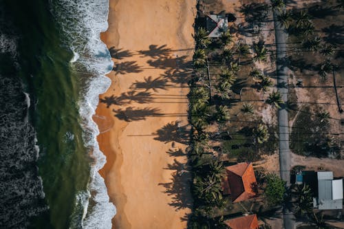 Aerial Footage of Palm Tree Shadows on a Sandy Beach