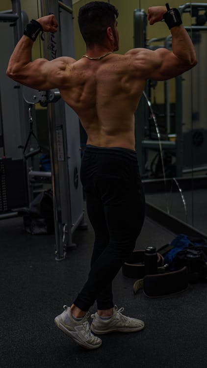 Back View of a Muscular Man Exercising in a Gym · Free Stock Photo