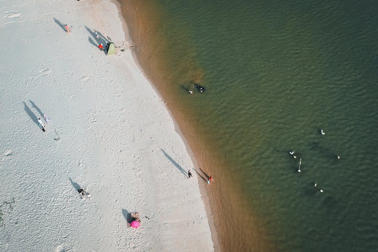 People Relaxing On Beach