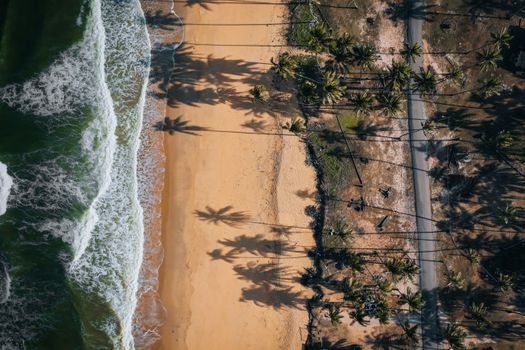 Drone captures waves, beach, and palm tree shadows on a sunny coastline.