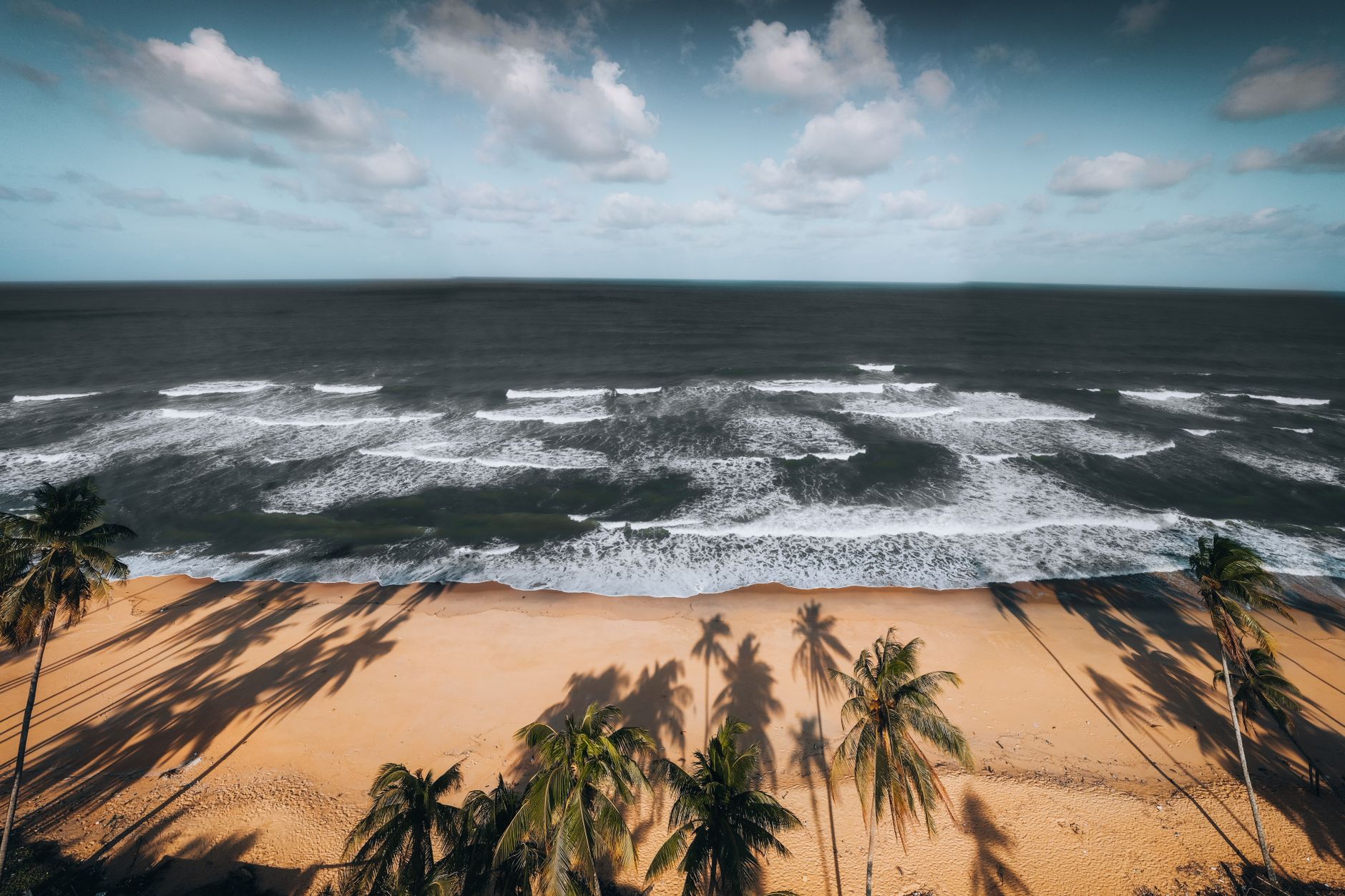 Palm-backed sand and shallow surf on the long beach at Cherai north of Kochi