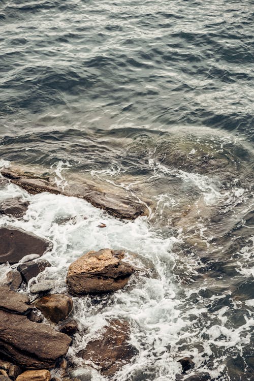 Ilmainen kuvapankkikuva tunnisteilla aallot, kivet, meri
