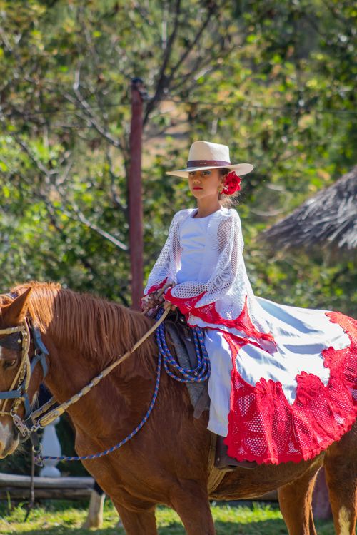 Free Girl in traditional Spanish dress rides a horse outdoors in summer. Stock Photo