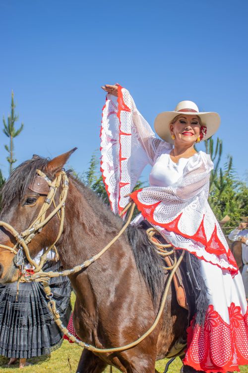 Free Senior woman in vibrant traditional clothing poses joyfully on horseback. Stock Photo