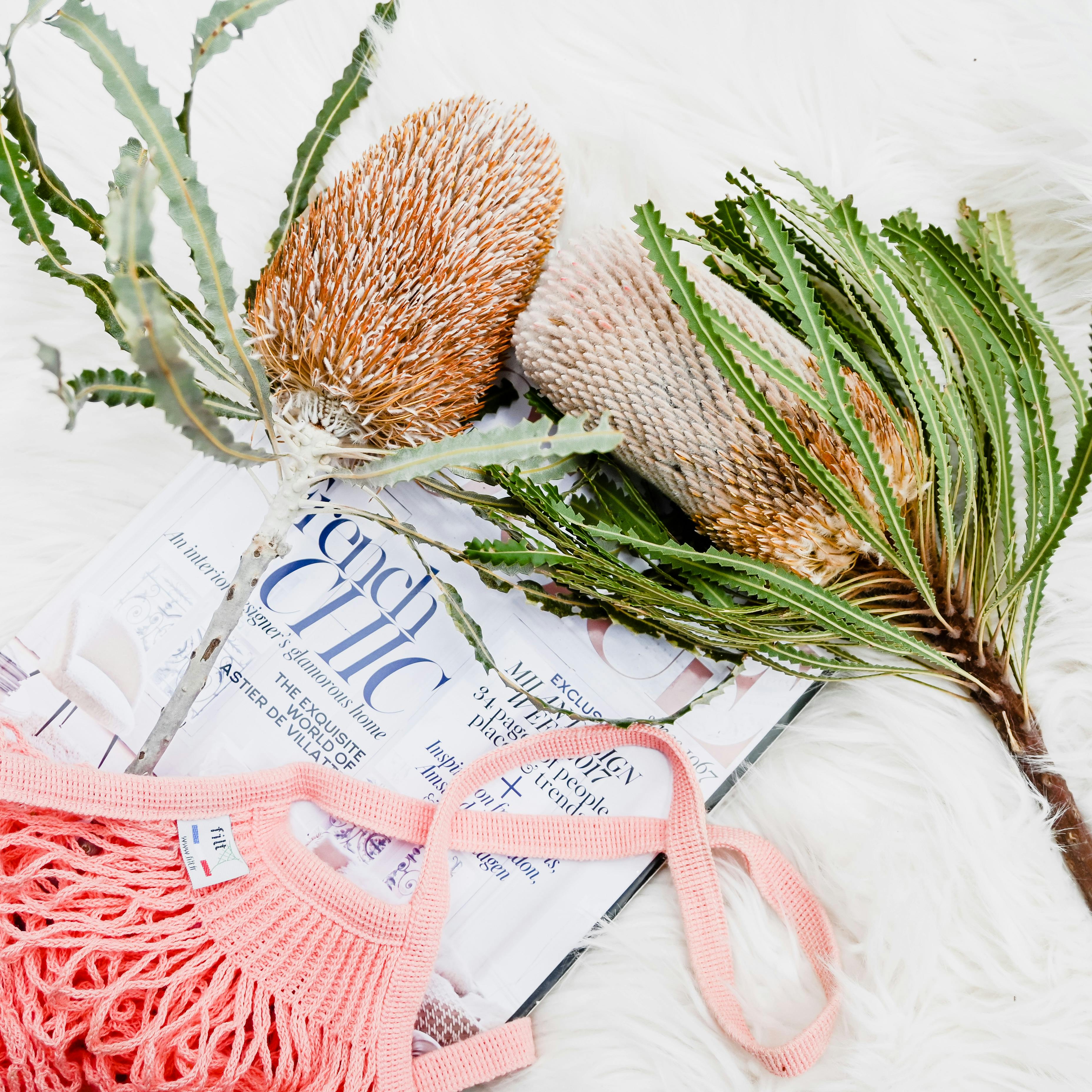 Aesthetic flat lay featuring pink crochet top, Australian flora, and a lifestyle magazine.
