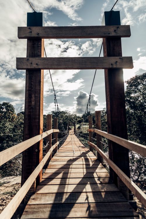 Free Experience the tranquil beauty of a rustic wooden footbridge in a Brazilian forest setting. Stock Photo
