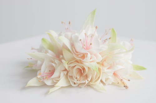 beyaz, buket, çiçek buketi içeren Ücretsiz stok fotoğraf