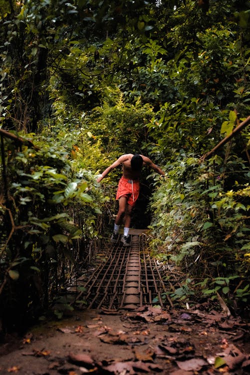 Shirtless Man Posing on Footbridge in Forest