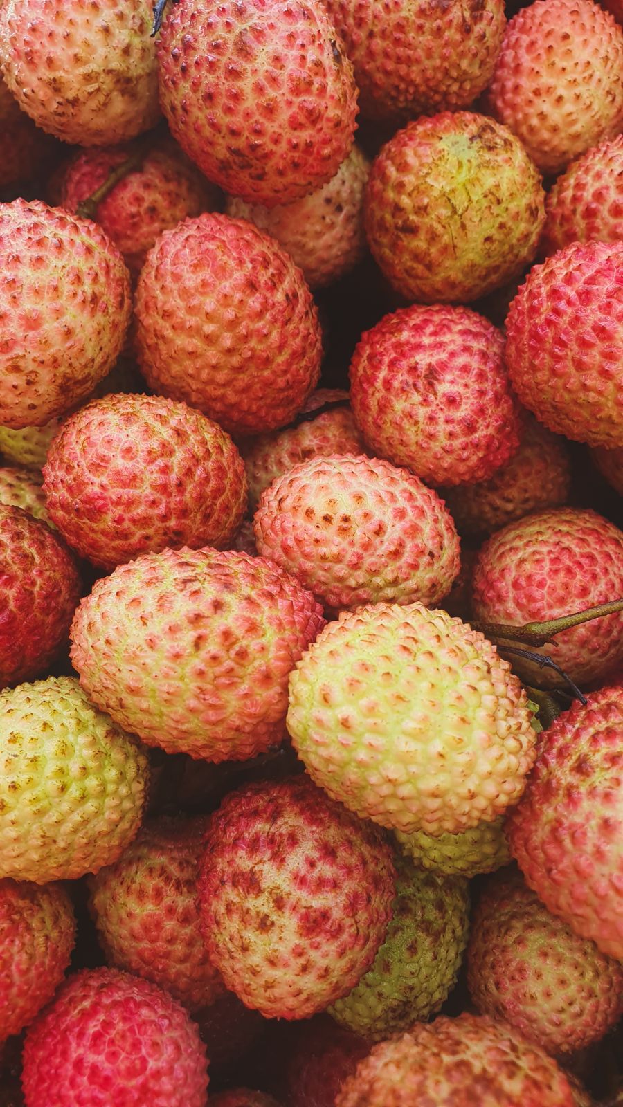 Fresh litchi fruit