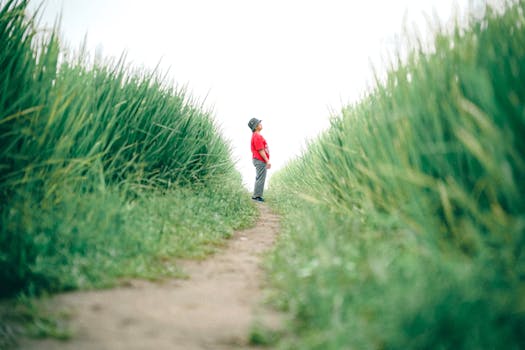 A lone person stands on a narrow path surrounded by tall green grasses under a bright sky.