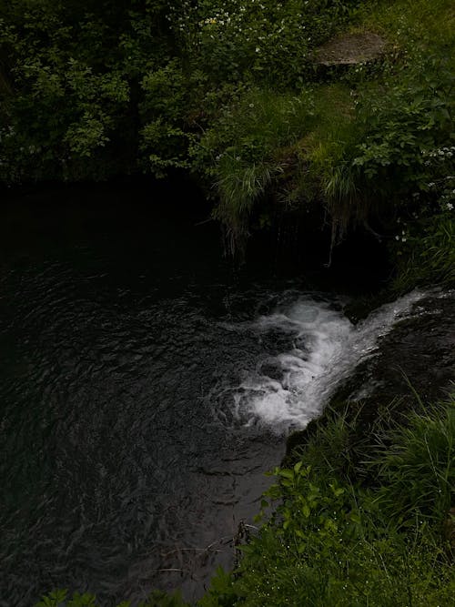 Imagine de stoc gratuită din apă curgătoare, cascadă, codru