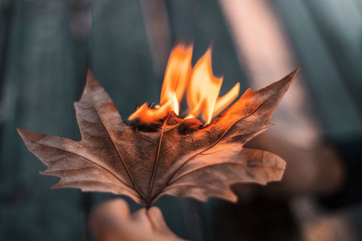 A person holding a leaf with fire in it