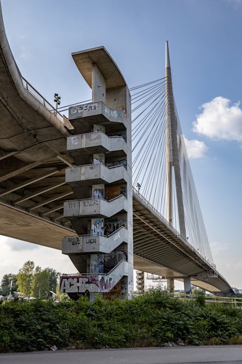 beton, çalılar, dikey atış içeren Ücretsiz stok fotoğraf