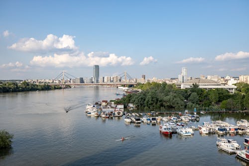 Cityscape of Belgrade with view on Bridge, Harbor and Downtown