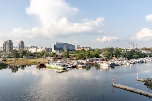 Immagine gratuita di alberi, città, fiume