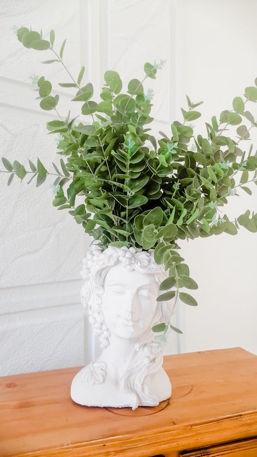 Green Houseplant in a Head-Shaped Vase