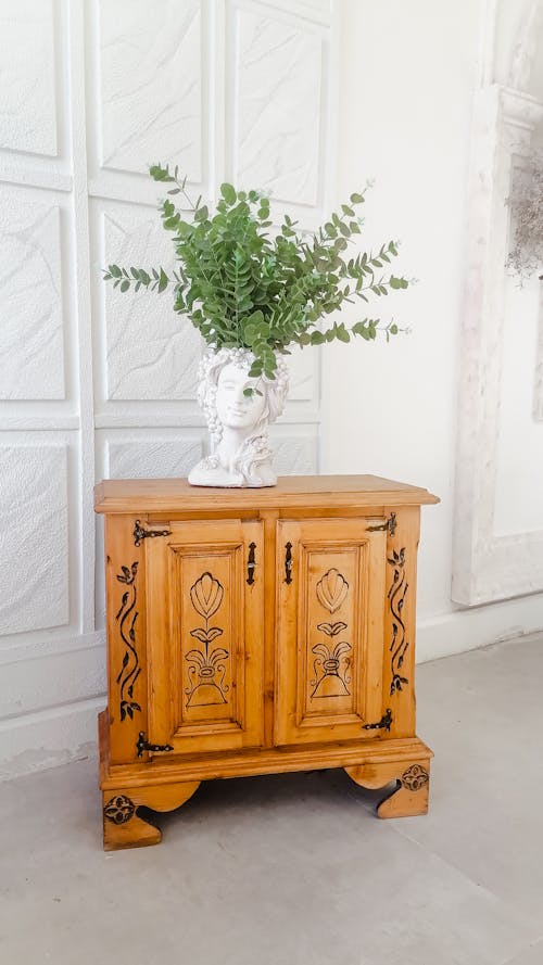 Green Houseplant Standing on a Wooden Cabinet