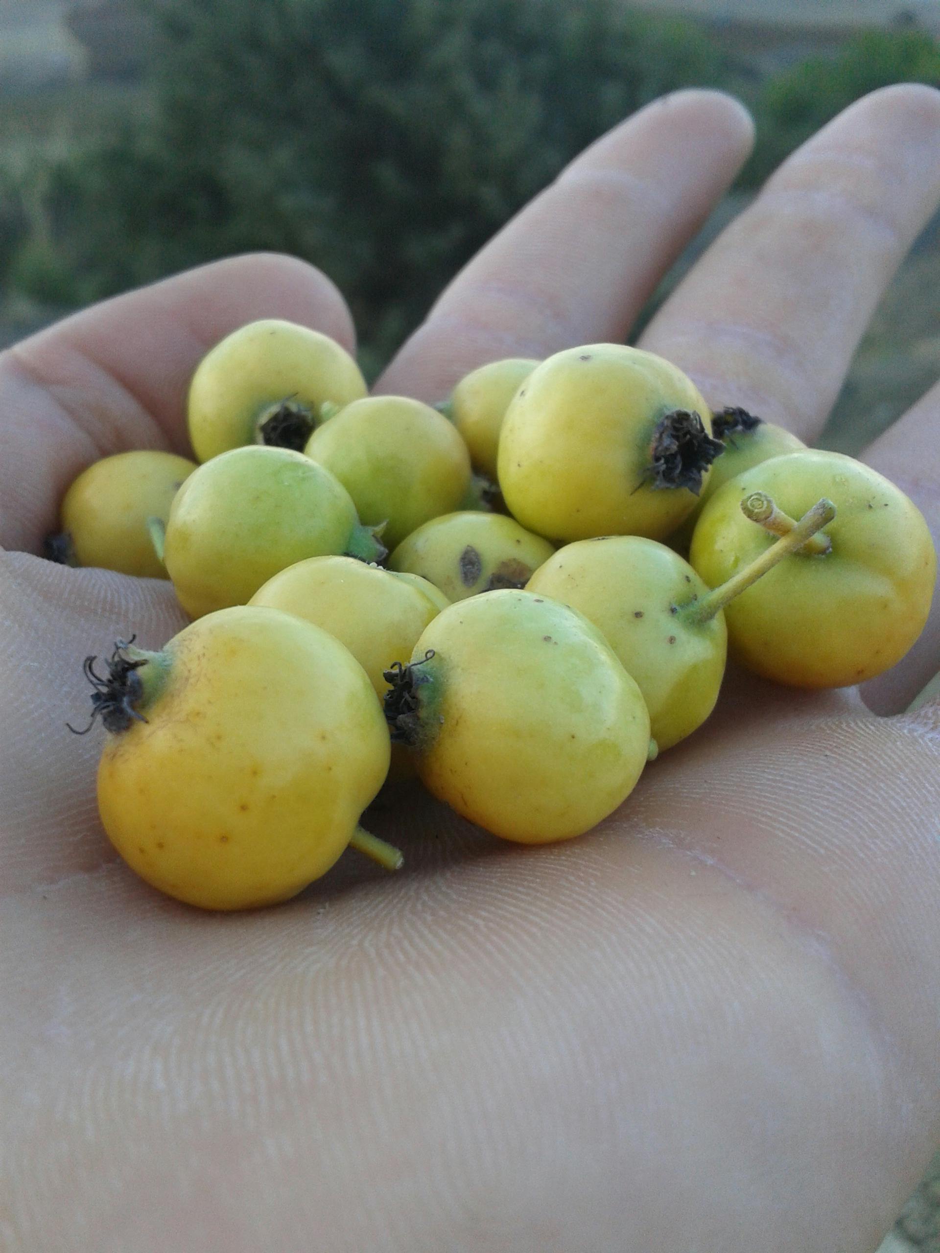 Ruinas de San Pablo en Macao