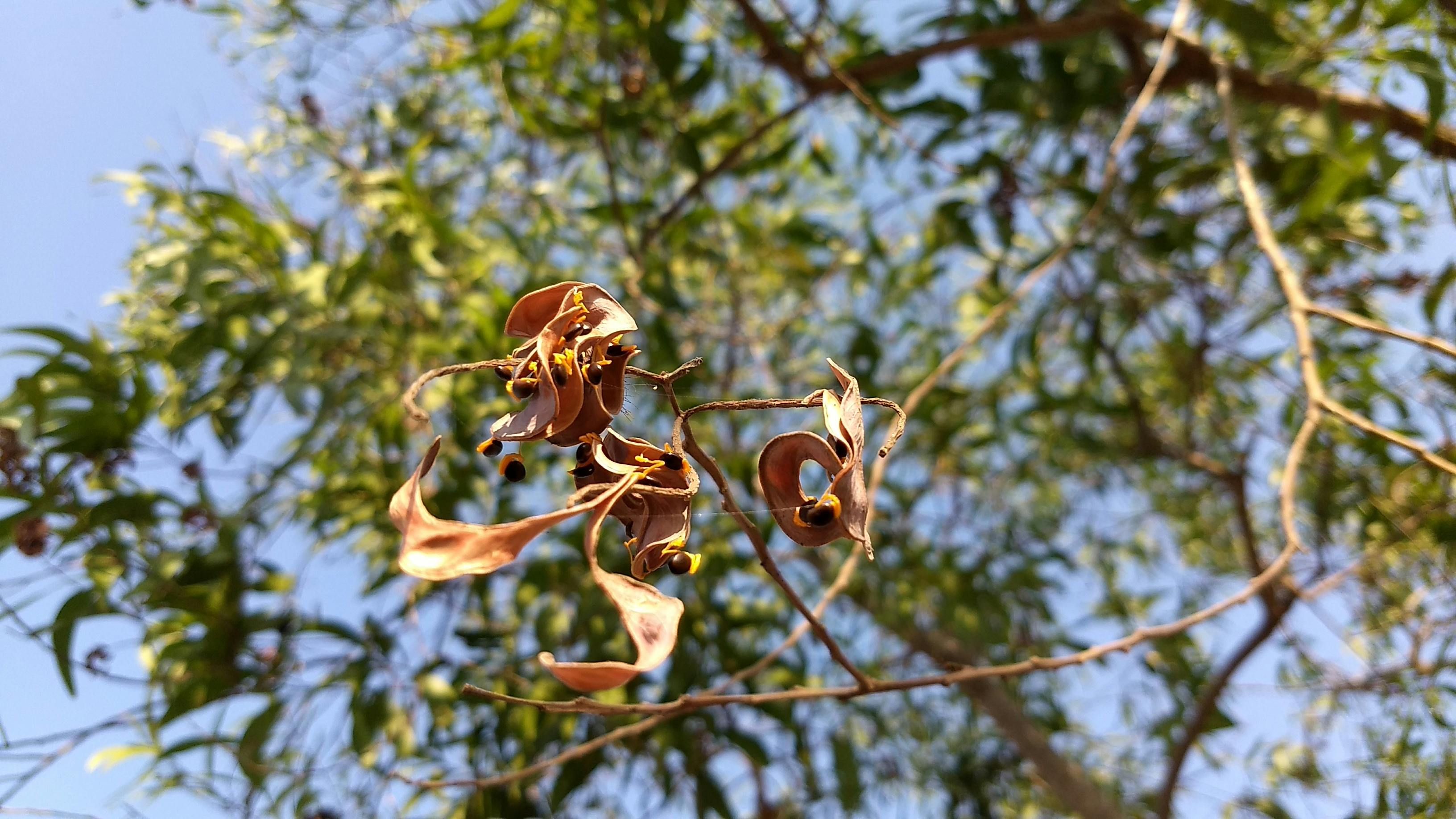 Vista panorâmica de Edimburgo com o Castelo