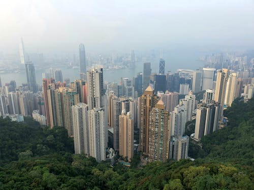 Gratis stockfoto met bomen, china, gebouwen