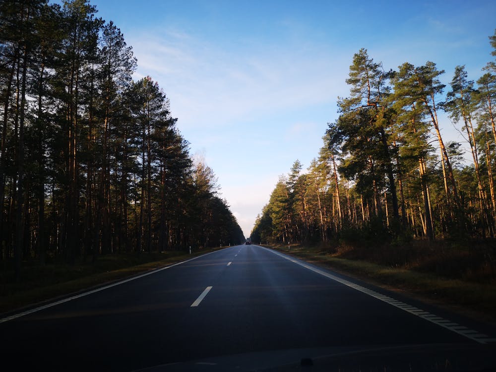 Fotobanka s bezplatnými fotkami na tému asfalt, cesta, cestný výlet