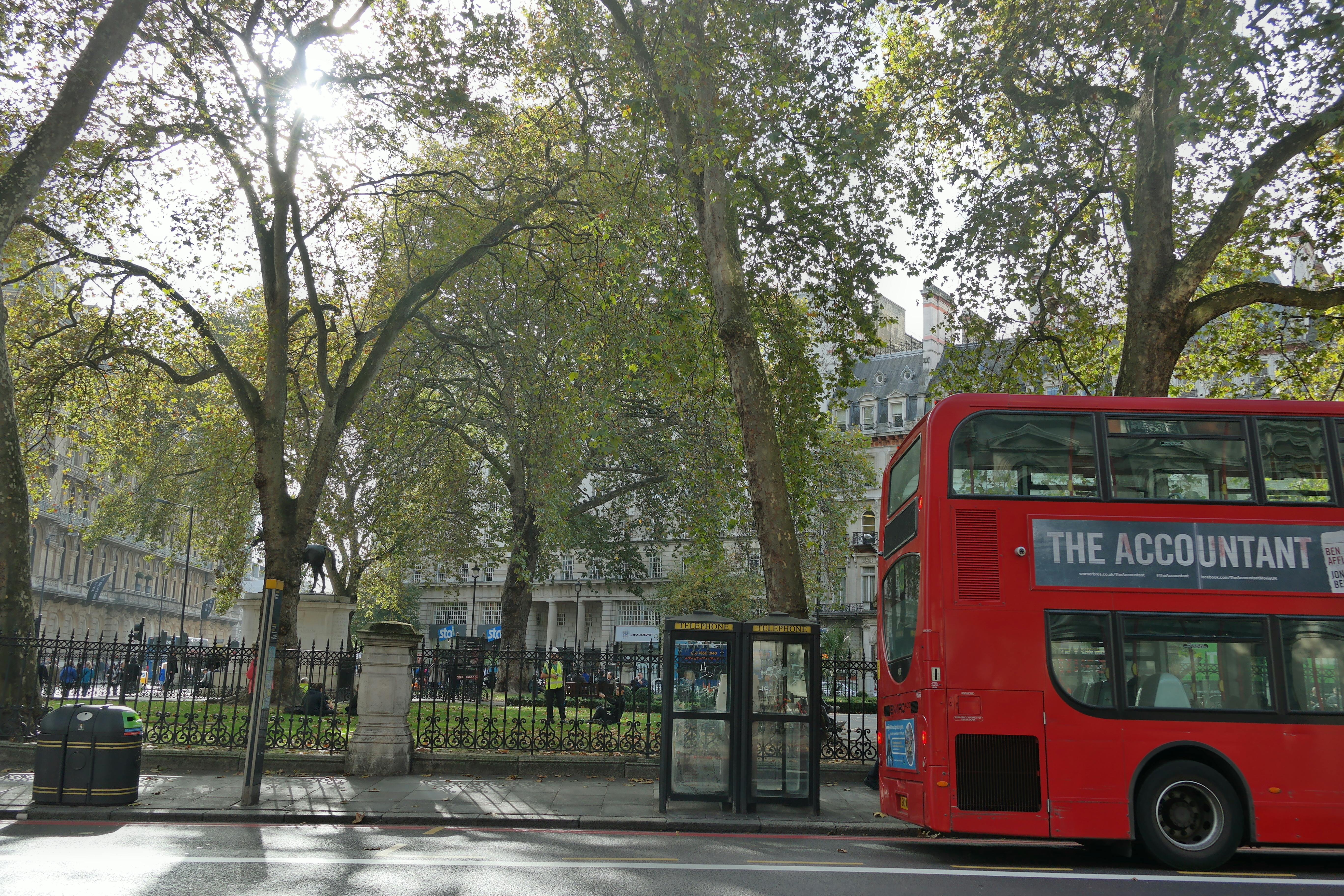 Free stock photo of #london #city #bus #trees