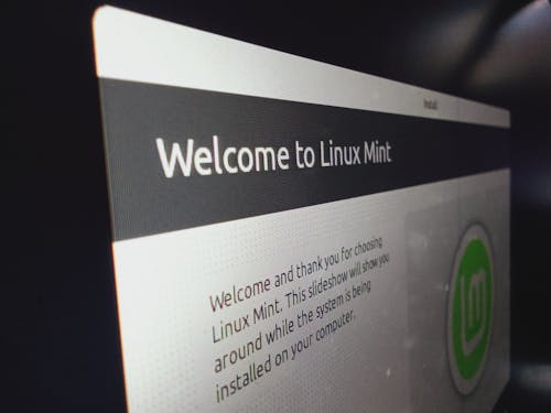 Welcome to Linux Mint Perspective Shot