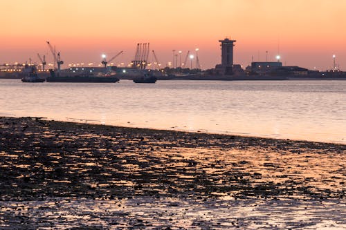 岸邊, 工業, 日落 的 免费素材图片