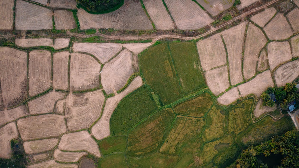 Areal view of a field with green and dirt 