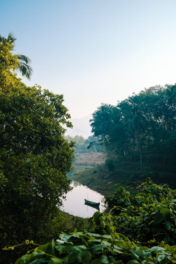 Green Trees Around River