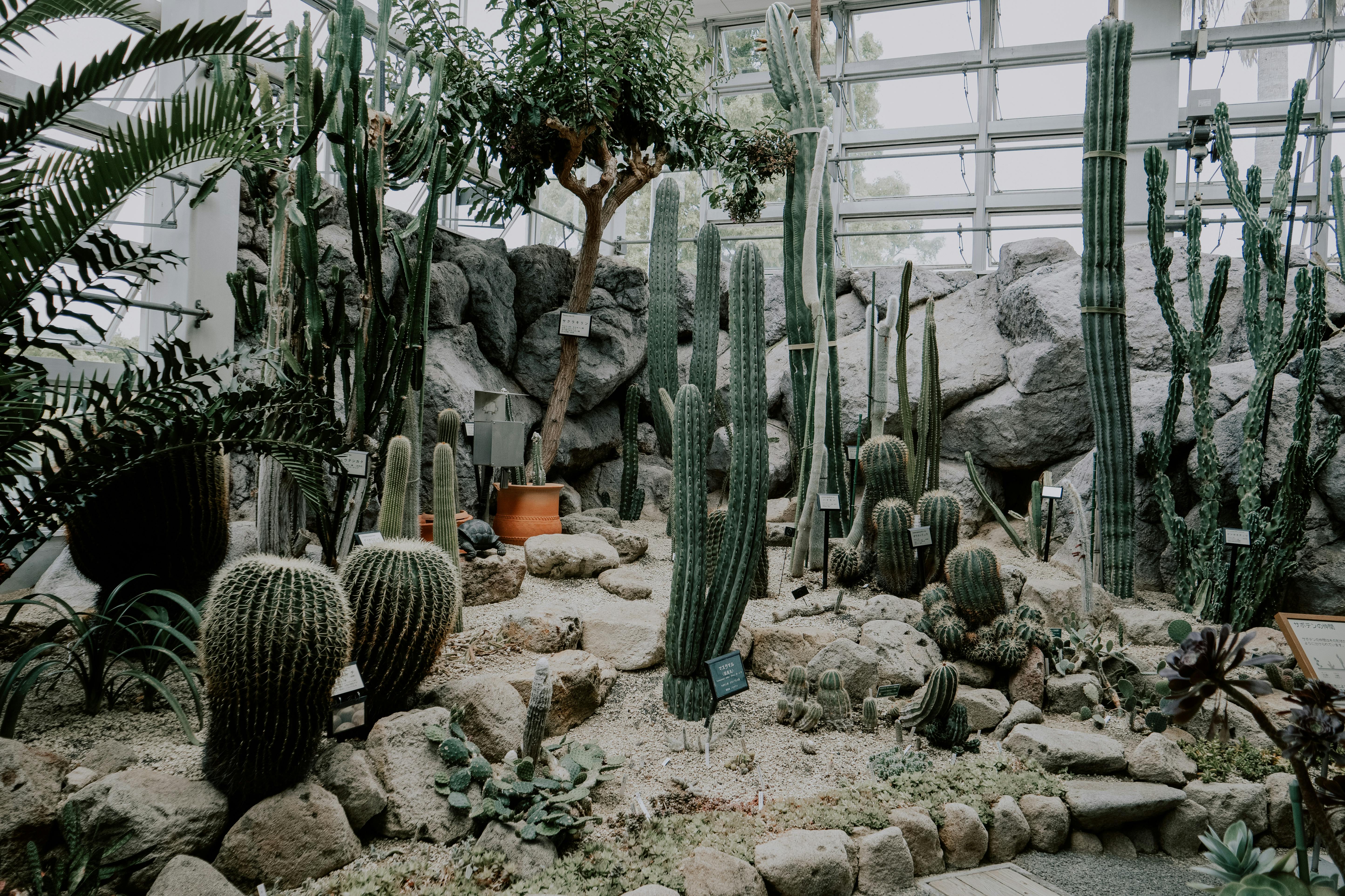 Blocks Greenhouse Hours Photos, Download The BEST Free Blocks