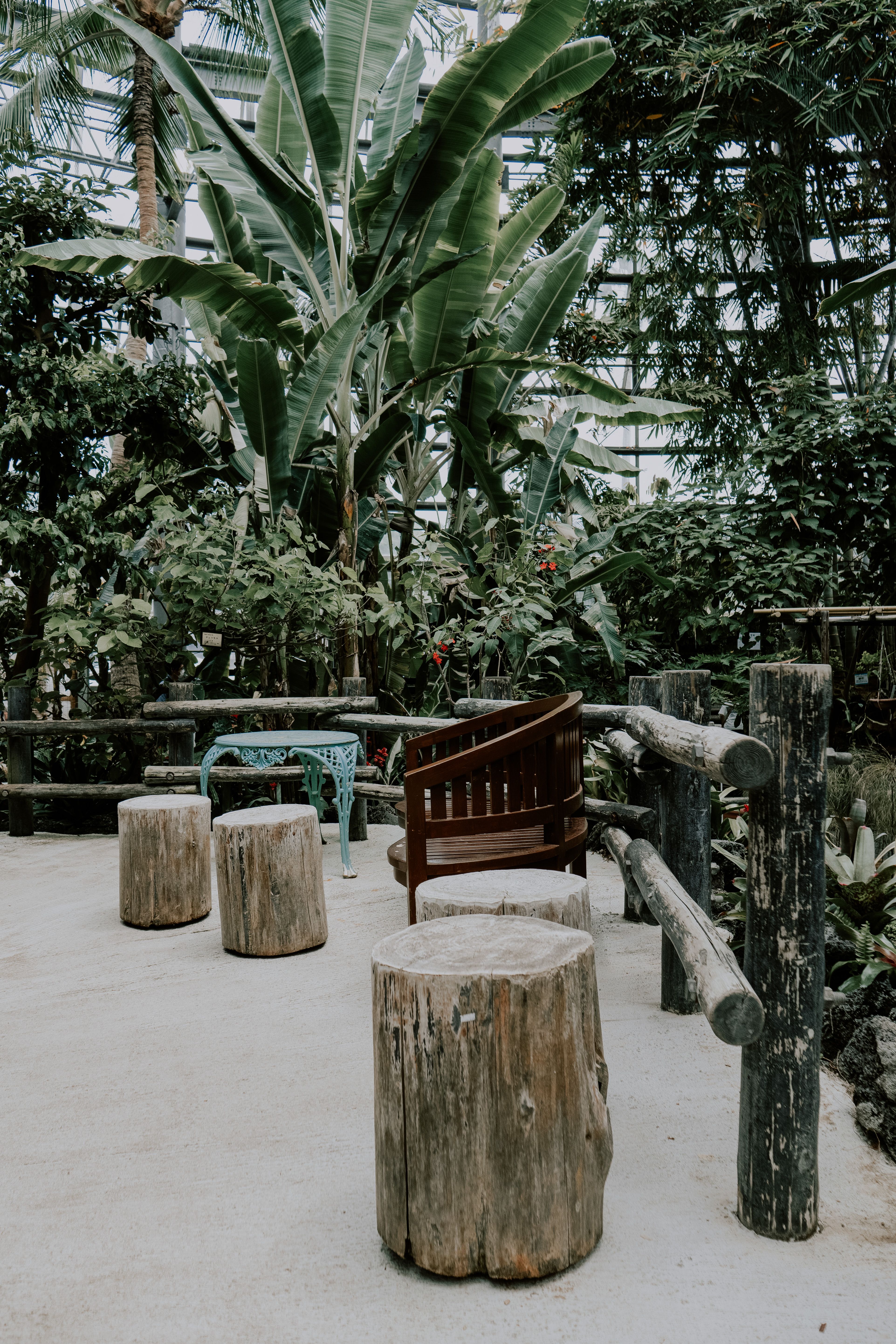 Seats for Visitors in the Botanical Garden · Free Stock Photo