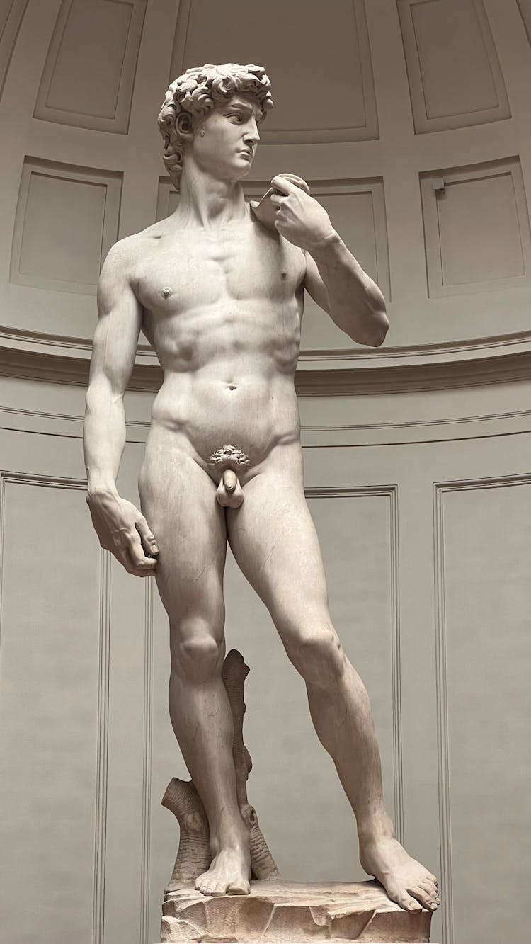 David Of Michelangelo Sculpture In Florence