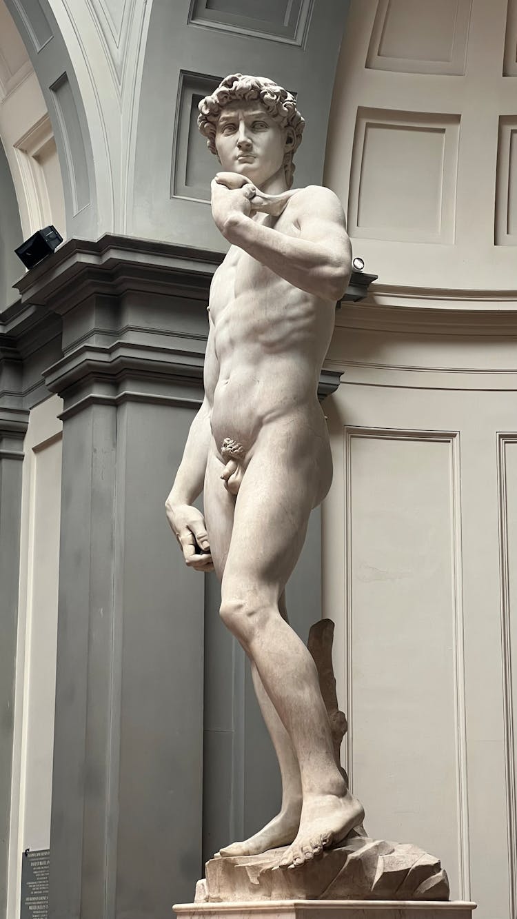 Sculpture Of David In Florence