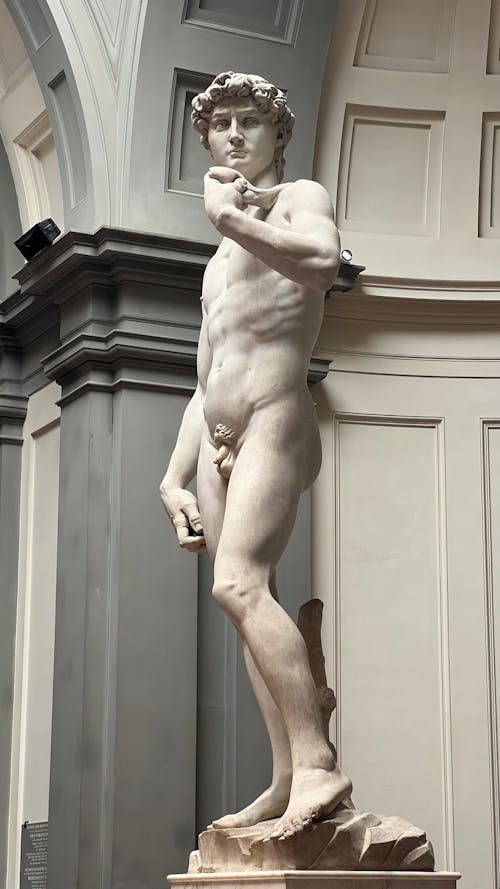 michelangelo david side