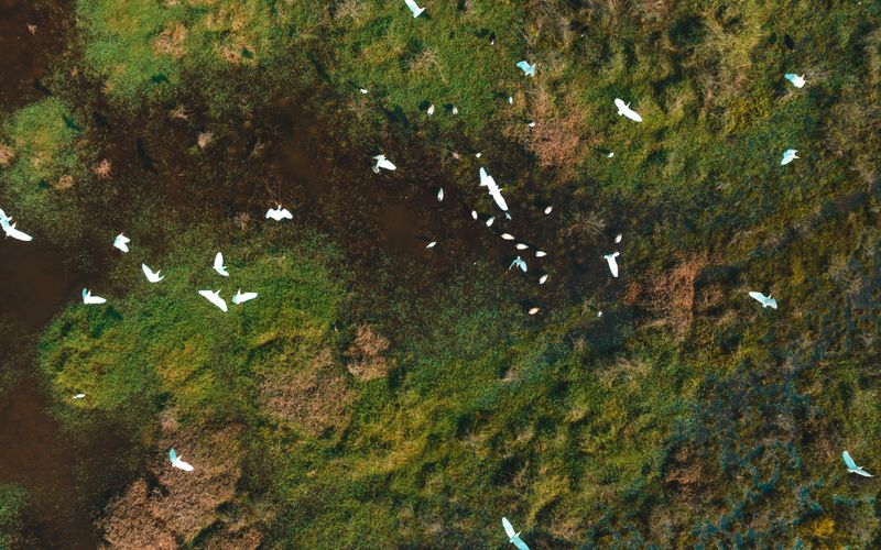 Kakadu National Park (Overview)