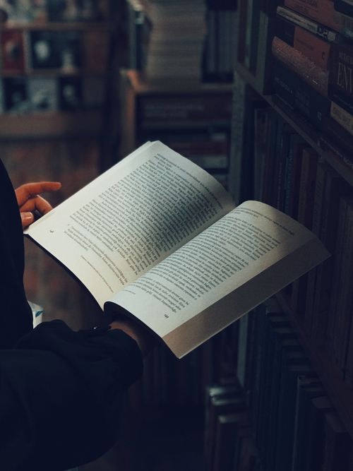 Free A person browsing books at a cozy bookstore in Konya, Türkiye. Stock Photo