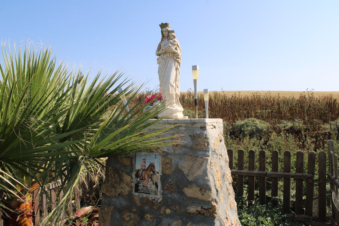 
altar de la Virgen del Carmen en el baldío del gallo