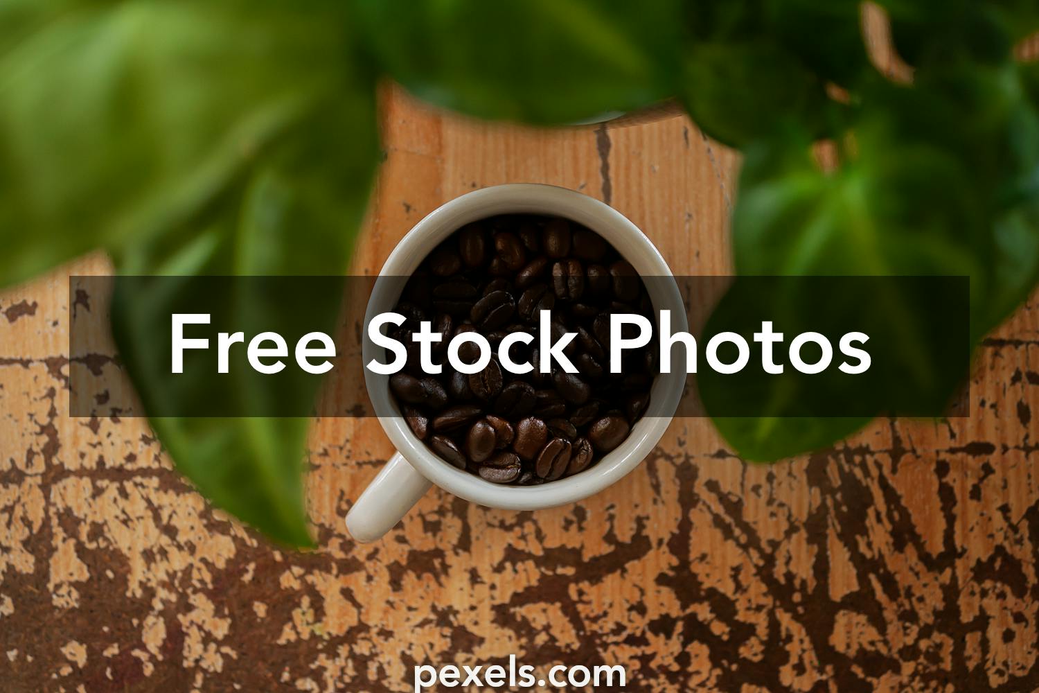 Full Frontal Photos, Download The BEST Free Full Frontal Stock Photos ...