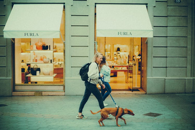 Woman Walking A Dog In City