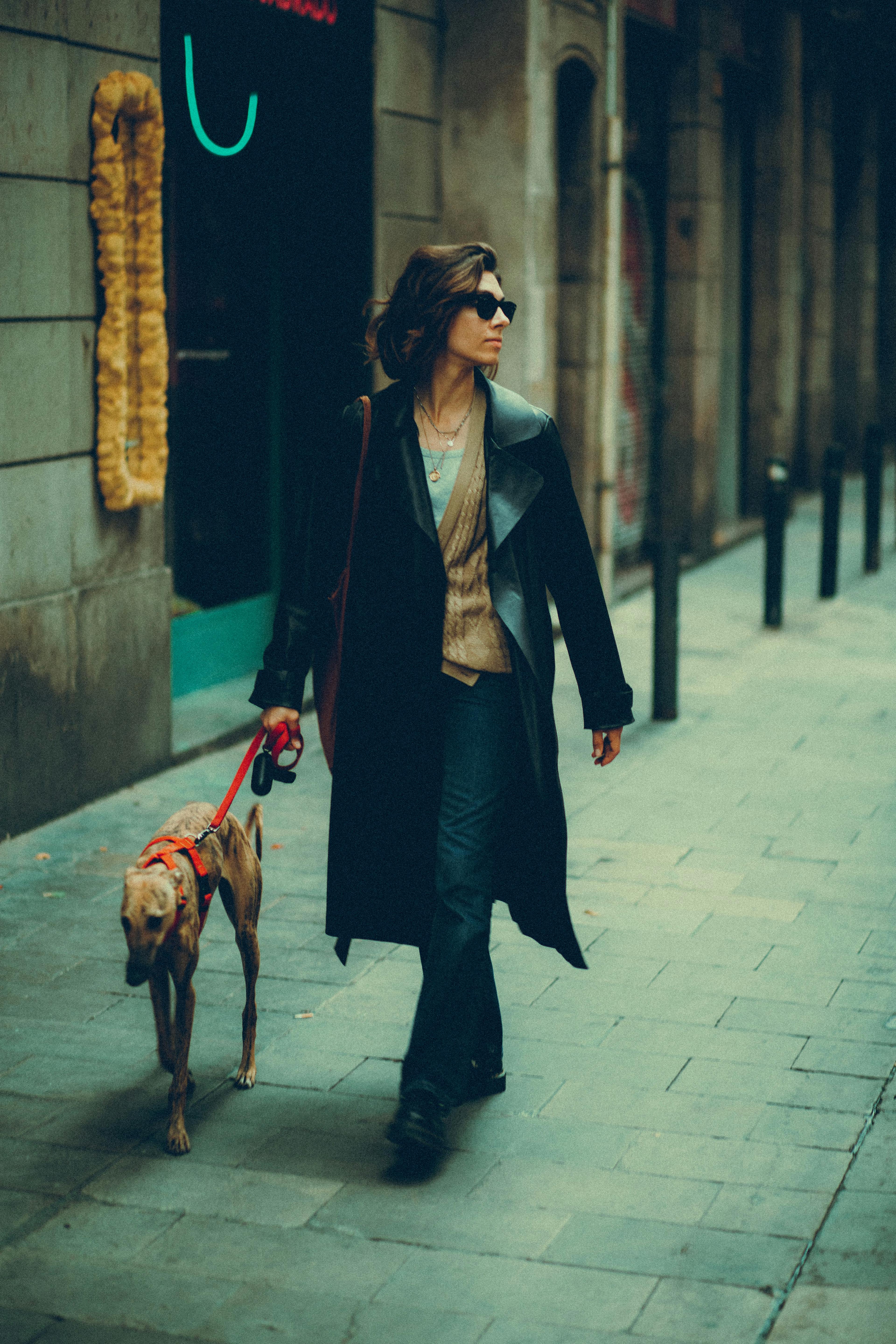 Dog With Thinner Coat Photos, Download The BEST Free Dog With Thinner