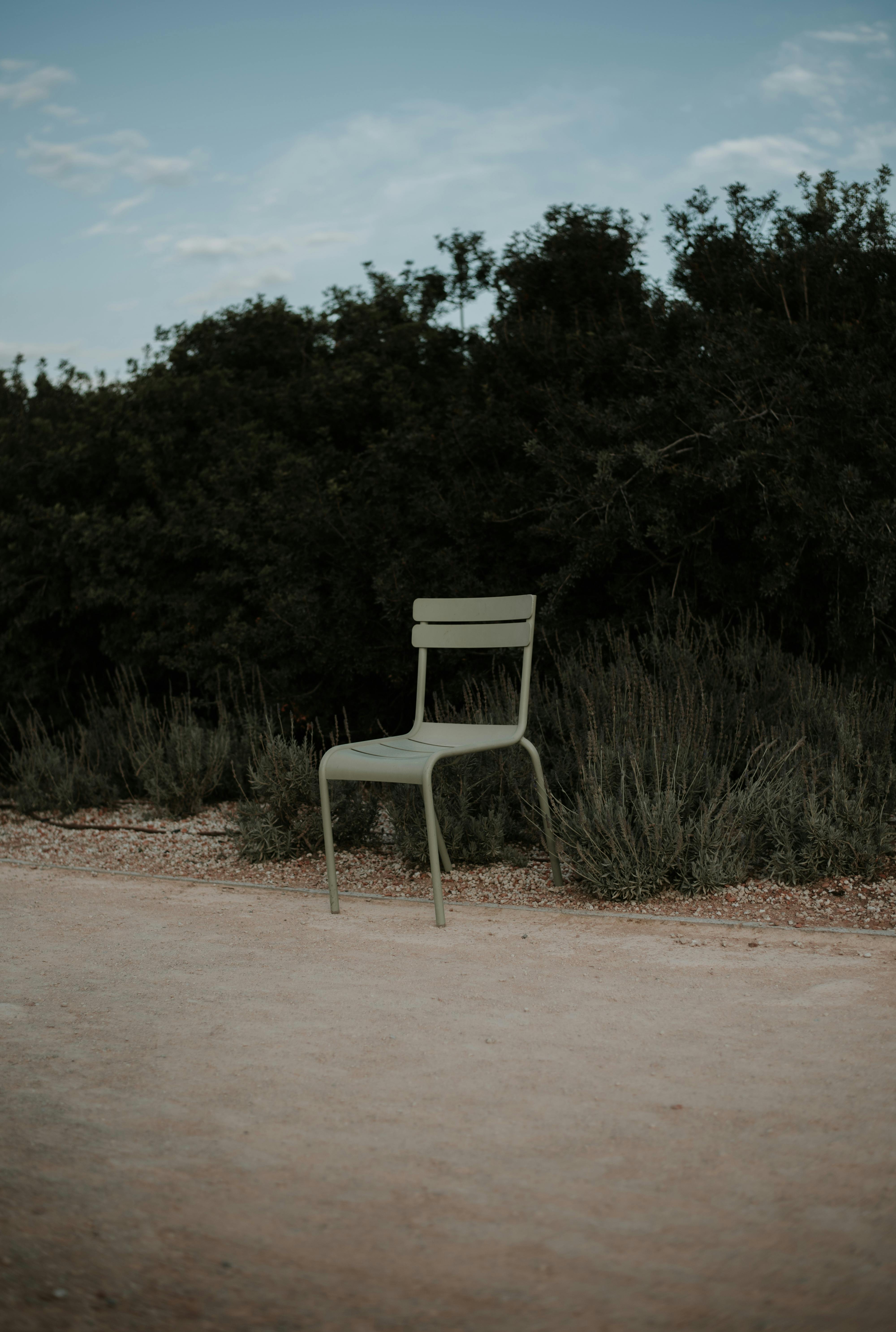 A solitary chair sits on a sandy path amidst shrubs and trees, evoking solitude.