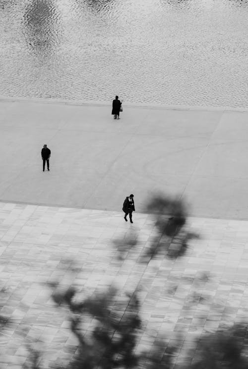 People on Pavement near Water in Black and White