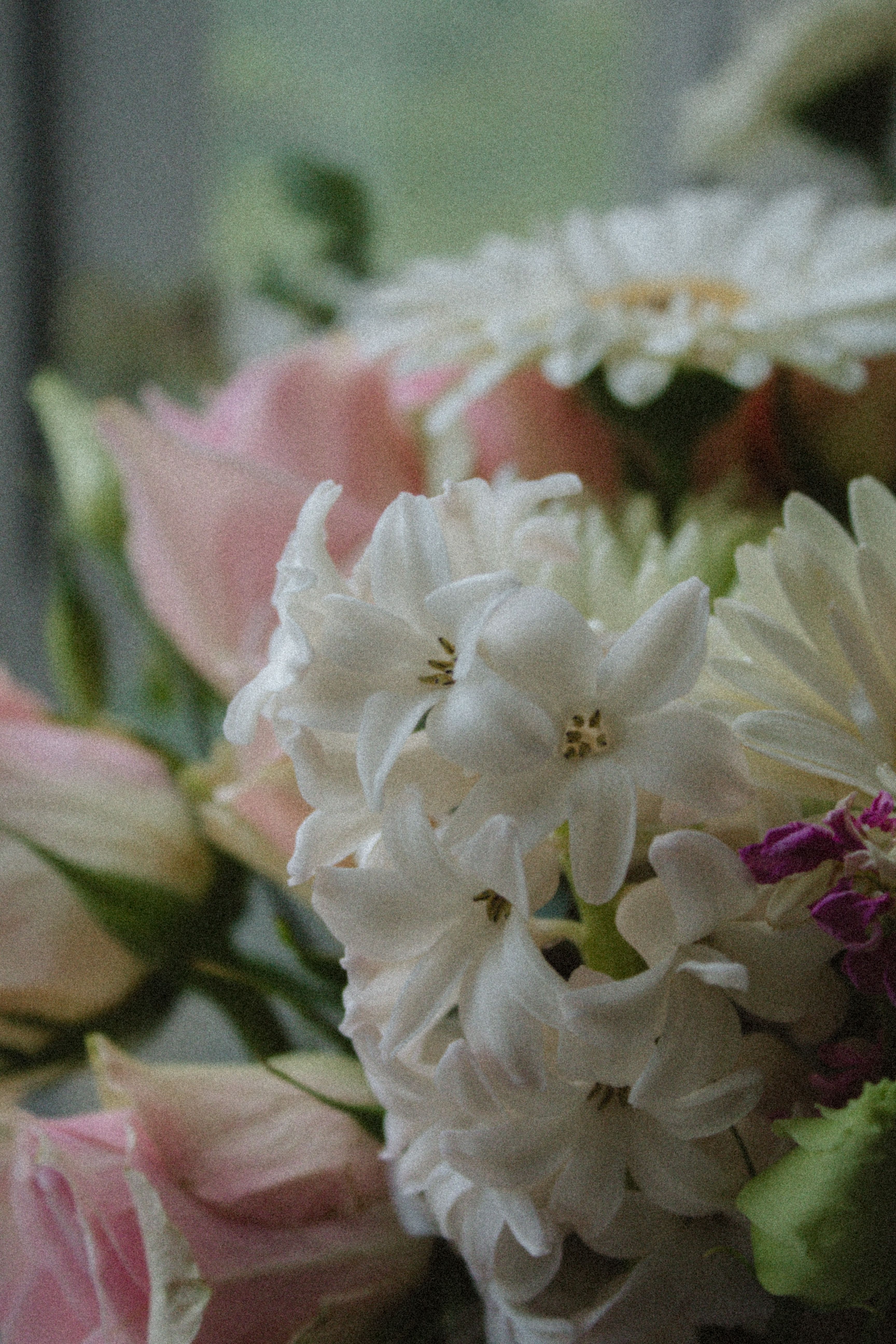 [ColoSach]-a-delicate-bouquet-featuring-white-hyacinths,-pink-roses,-and-daisies-captured-with-a-soft,-dreamy-focus.
