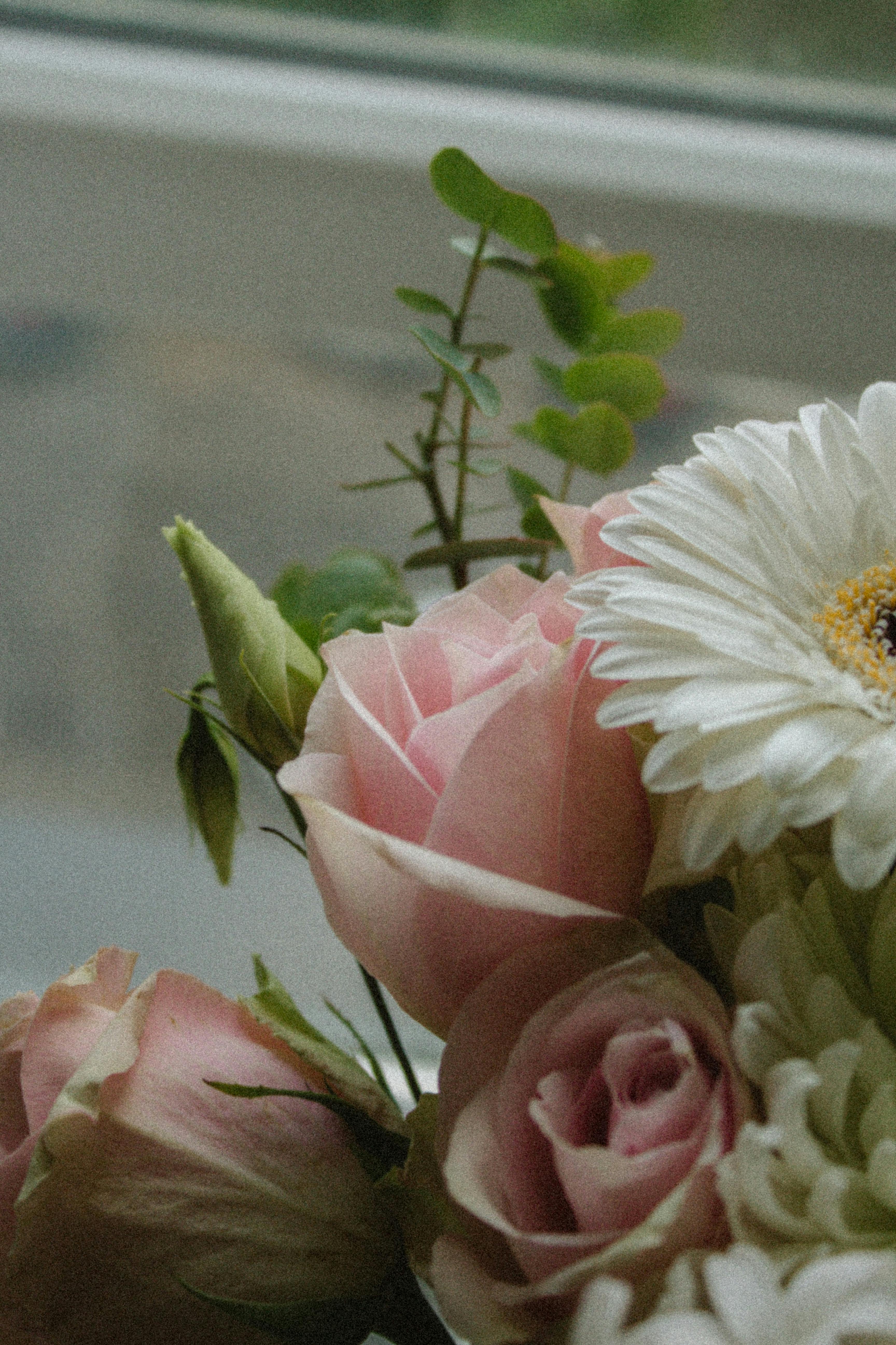A close-up of a gentle floral bouquet with pink roses and daisies placed near a window.