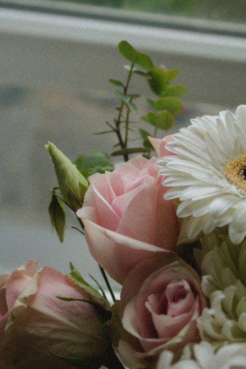 Základová fotografie zdarma na téma dekorace, flóra, květiny