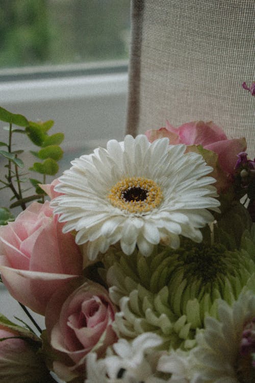 คลังภาพถ่ายฟรี ของ gerber, การตกแต่ง, ช่อดอกไม้