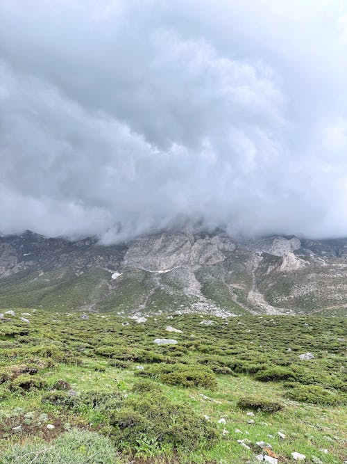 Foto profissional grátis de arbustos, garoa, montanhas