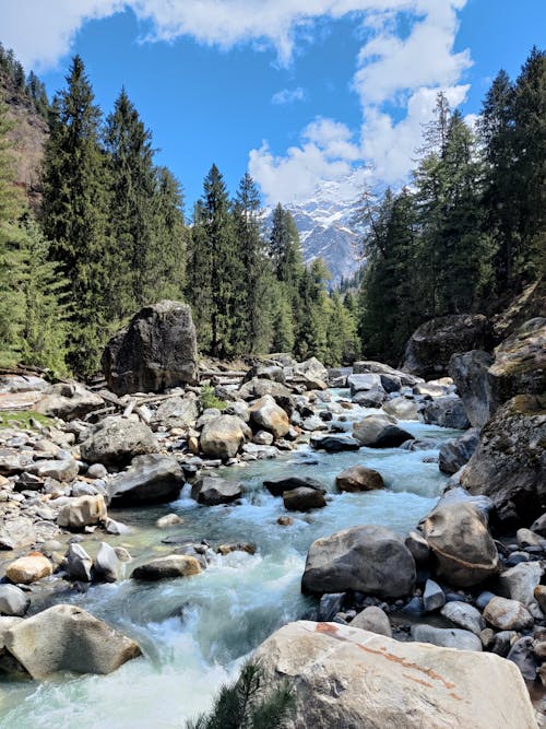 Free View of a Rocky River in a Mountain Valley between Green Trees Stock Photo