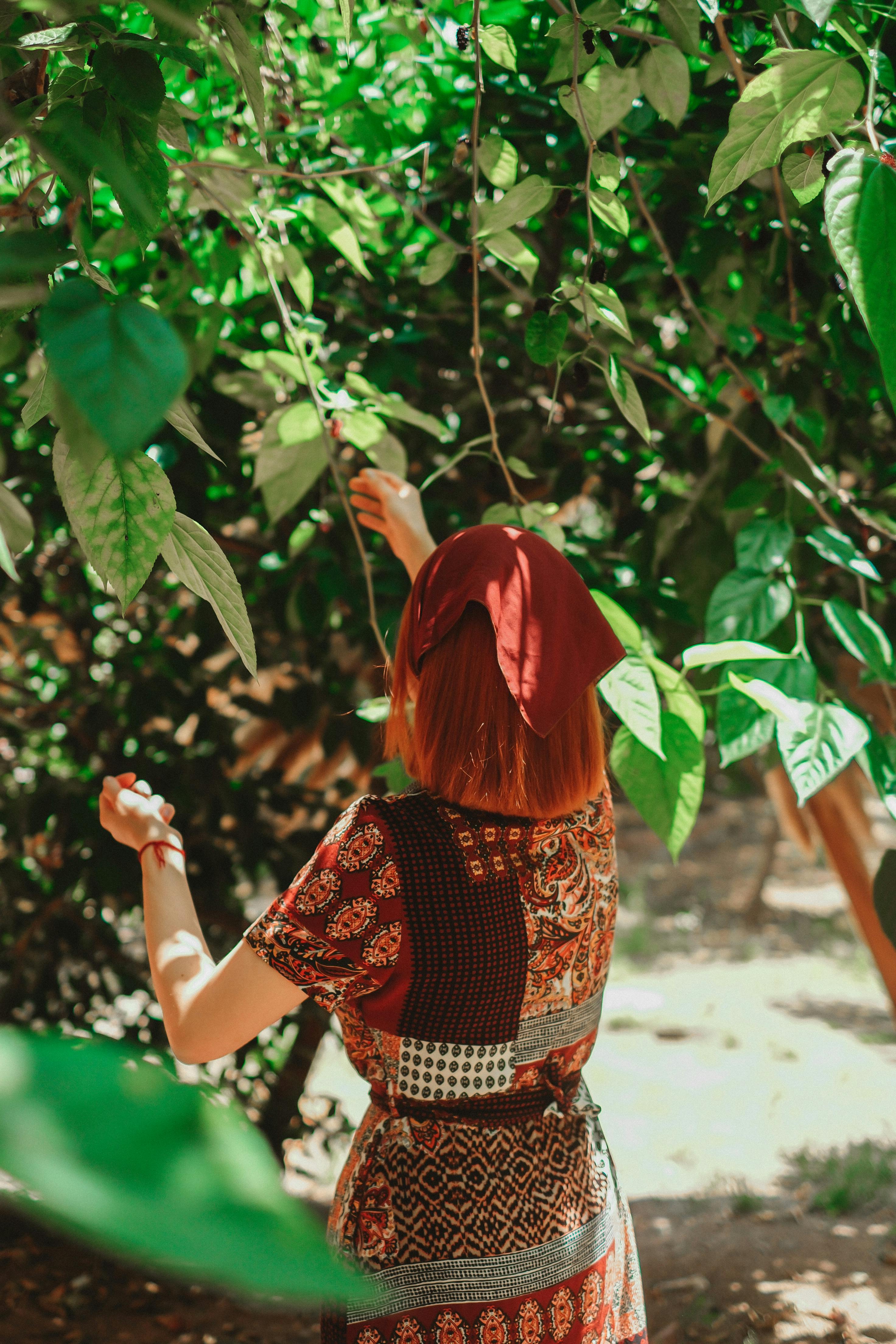 A woman in a colorful dress and headscarf picks fruits in a lush summer orchard.